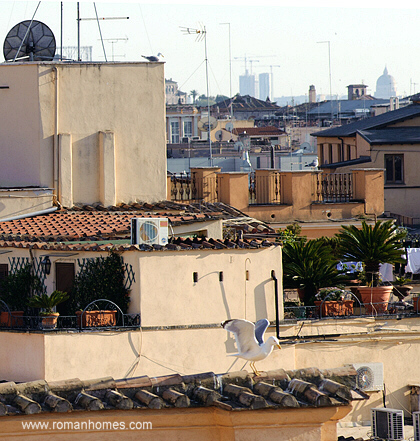 A seagull taking off from a palace roof